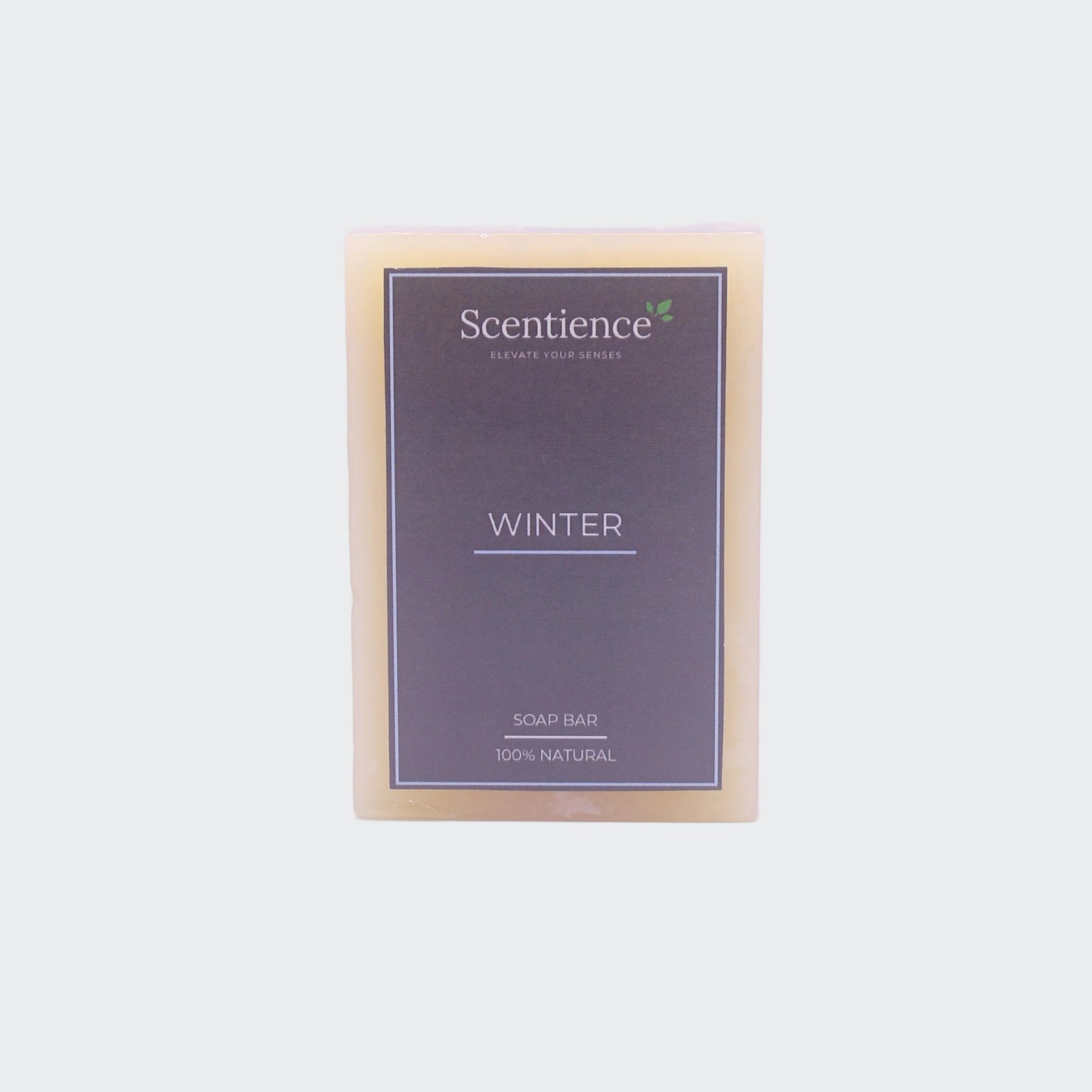 Soap Bar - Winter