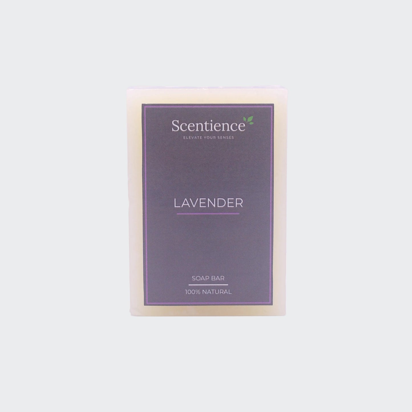 Soap Bar - Lavender