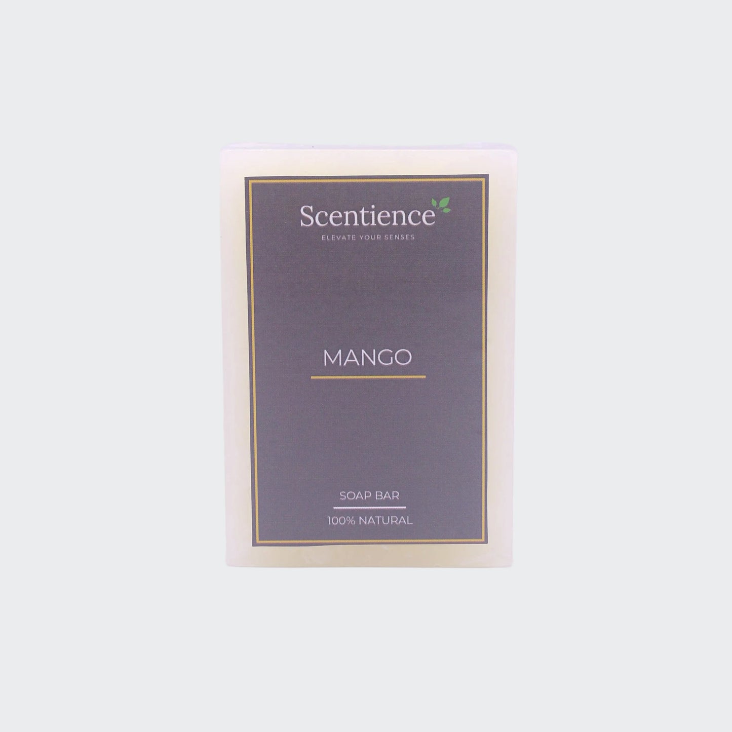 Soap Bar - Mango