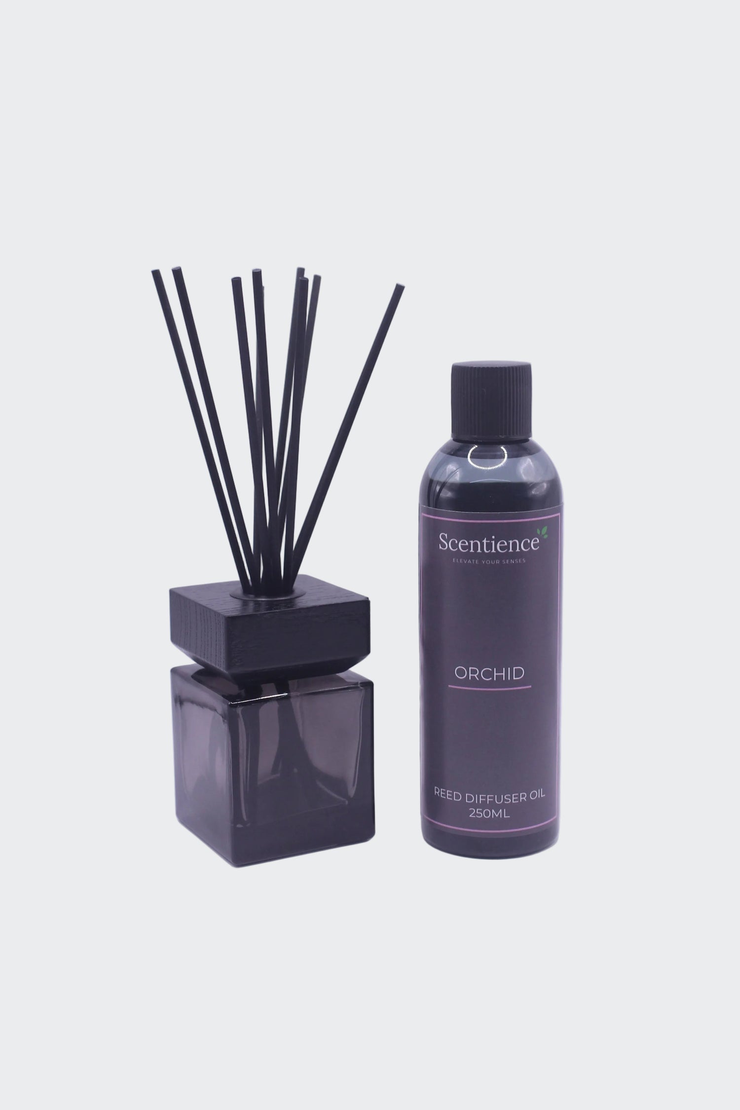 Reed Diffuser Oil