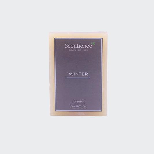 Soap Bar - Winter