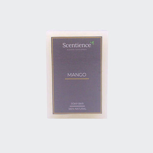 Soap Bar -  Mango
